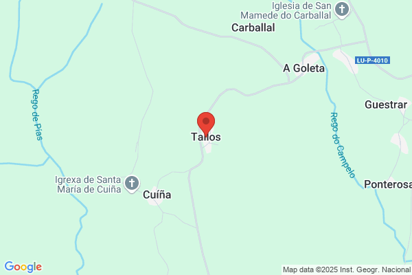 Tallo Gayoso d.