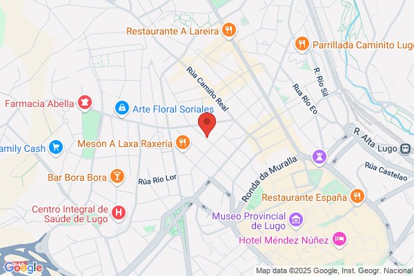 Fisioterapia Lugo S.L.