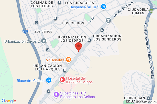 Union Española Compañia De Seguros Generales S. a.
