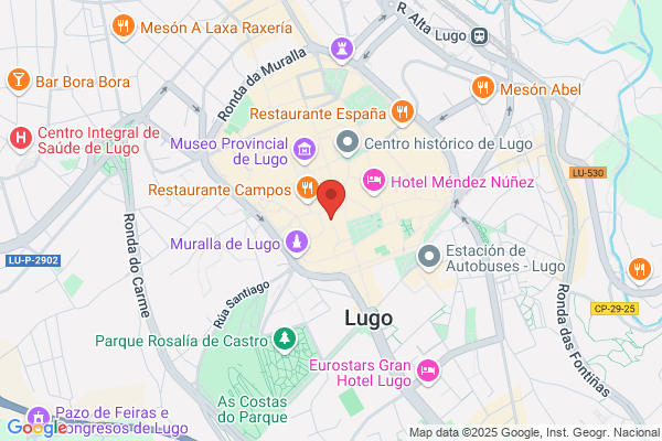 Obispado De Lugo - Particular Obispo