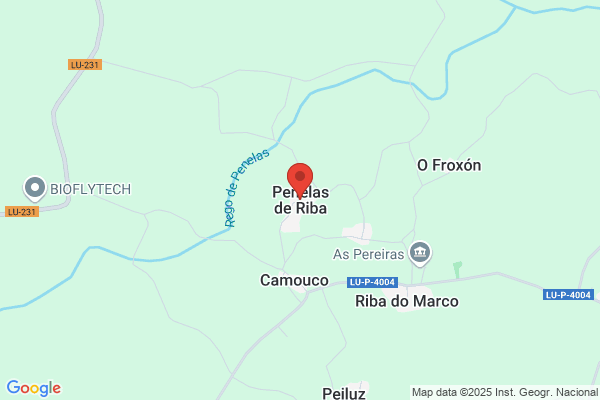 Penelas Arias s.