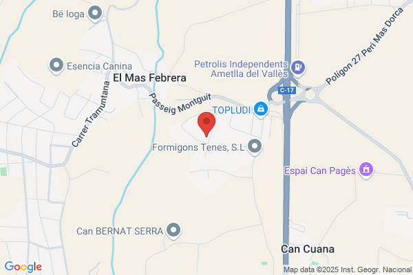 Restaurante Monguit