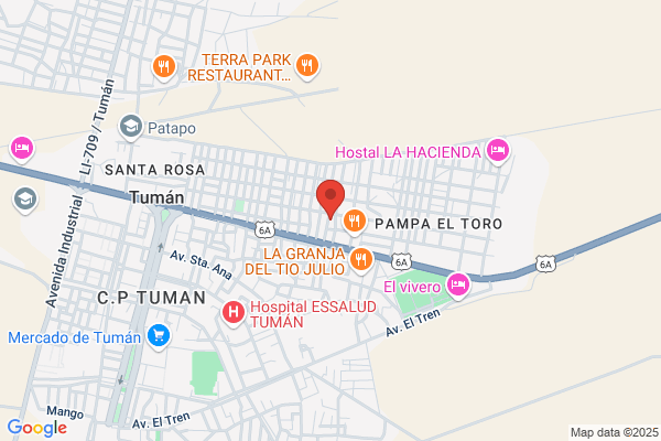 Toro Diaz j. A.