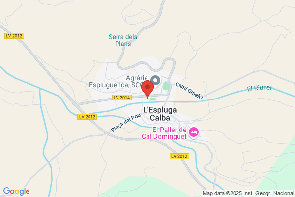Restaurante De Lespluga S.L.