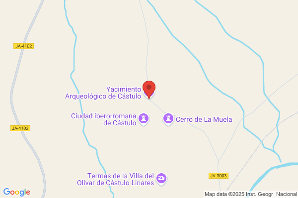 Linares Castrejon m.