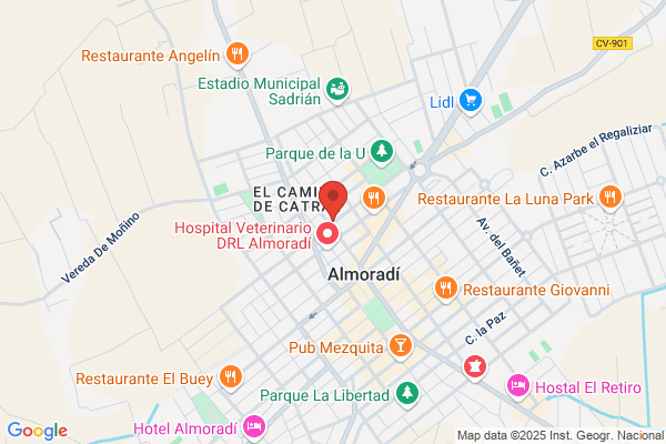 Centro De Estudios Almroadi