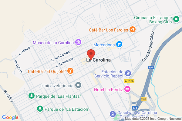 Ayuntamiento De La Carolina-Taller Ocupacional