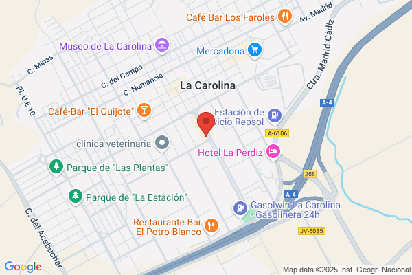 Borras Illescas - Médico f. Javier