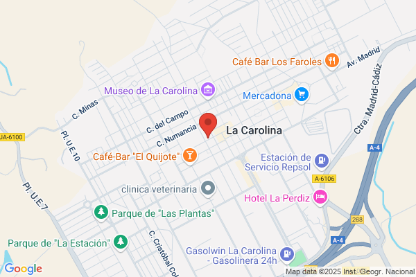 Carnicería Enrique
