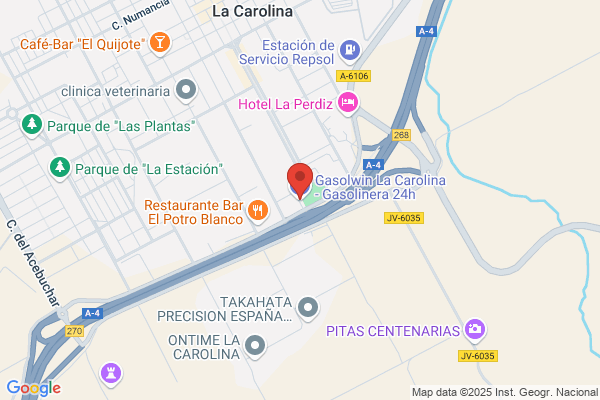 Estacion De Servicio Pozonuevo S.L.