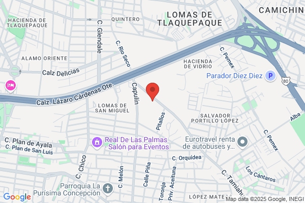 Multiservicios Roma