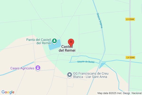Castell Del Remey - Vinos