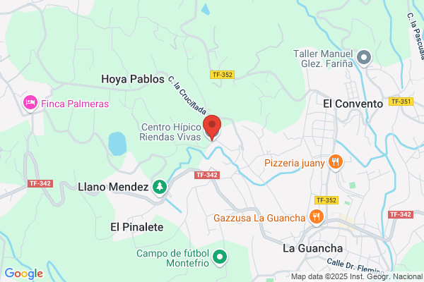 Asociación Riendas Vivas