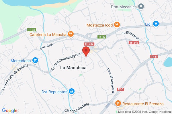 Auto Repuestos El Empalme