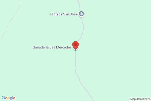 Granja Nuestra Señora De Las Mercedes - ganado porcino