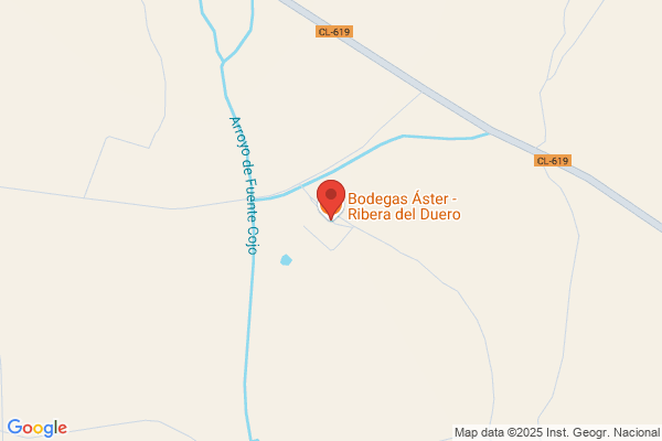 Viñedos Y Bodegas Aster