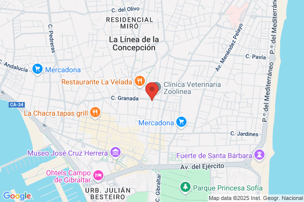 Asesoria Castilla-Vinuesa