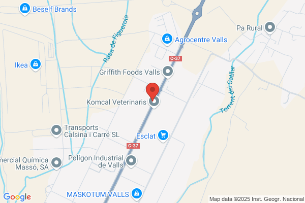 Auto Motor Valls S.L.
