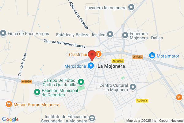 Daza Velazquez De Castro l.