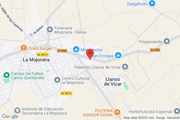 Moviz Surauto, S.L. FORD
