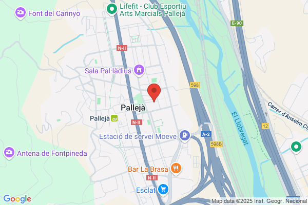 Auto-Escuela Palleja S.C.C.L.