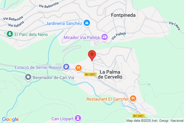 Escola Publica La Palma