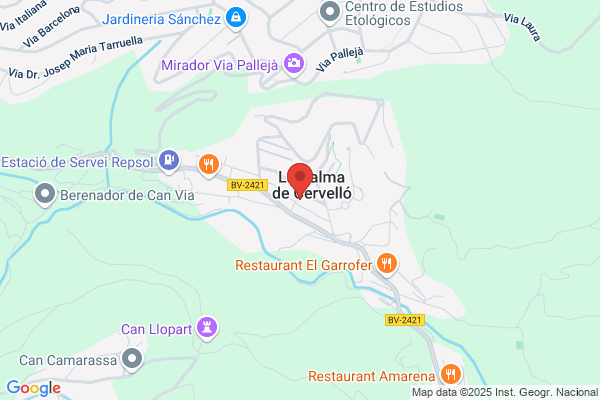 Finques La Palma De Cervello S.L.