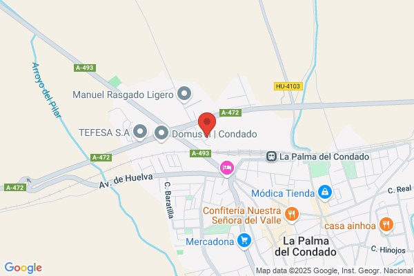 Consejo Superior De Investigaciones Cientificas