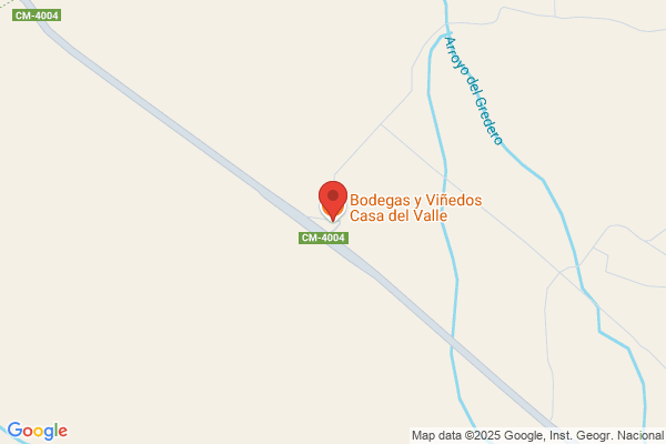 Bodegas Castillo Del Valle S.L.