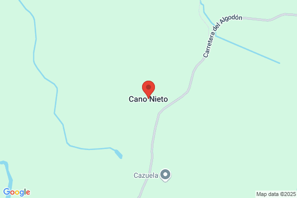 Cano Nieto e. J.