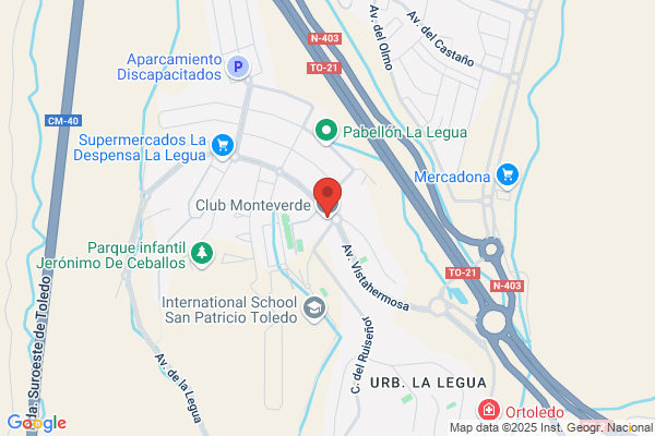 Hostelerias New Toledo S.L.