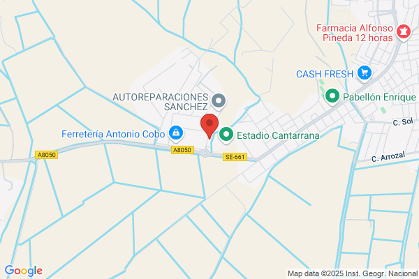 Campos Dominguez l.
