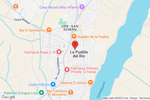 Servipalma