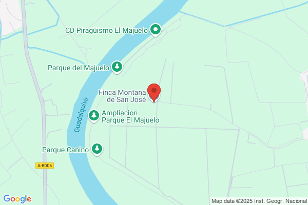 Montana De San Jose S.A.