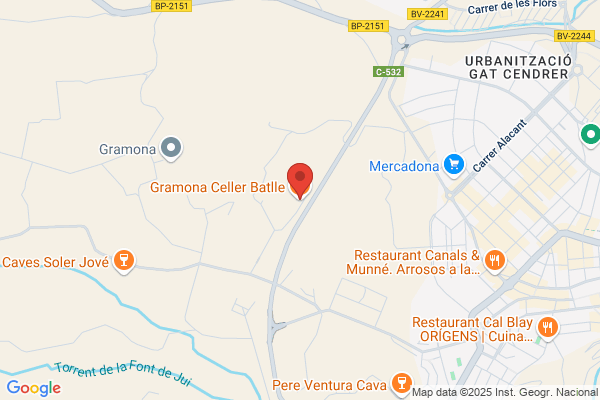 Bramona Castellsague m.