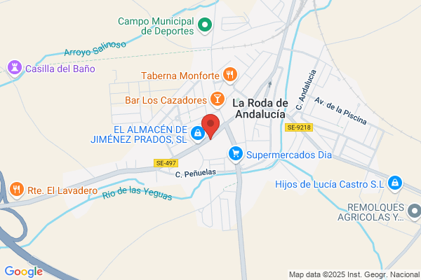 Religiosas Siervas Del Evangelio