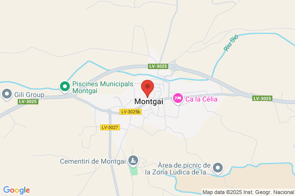 Ajuntament De Mongai-Escoles Butsenit