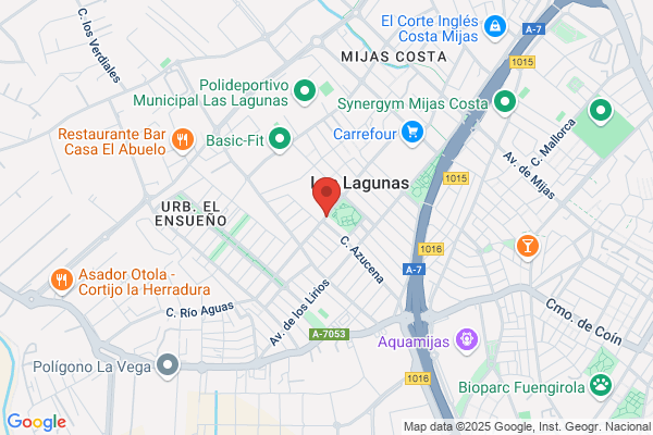 Libreria Papeleria El Quijote