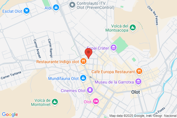 Autovidre Olot