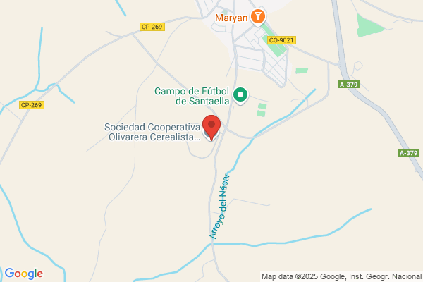 Cooperativa Olivarera Y Caja Rural