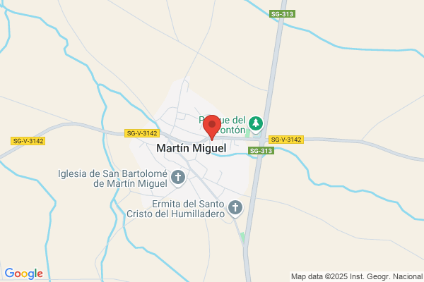 Palomo Martin a.