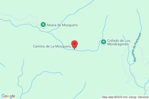 Mosquera Camino e.