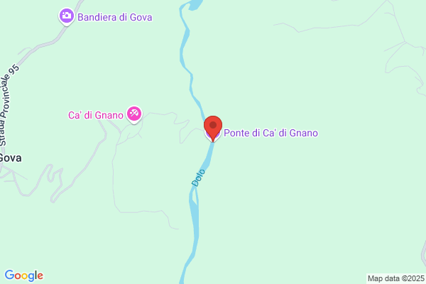 Gonzacoca