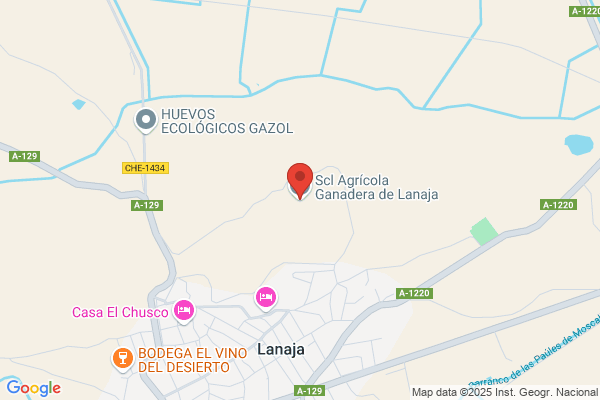Scl Agricola Ganadera De Lanaja