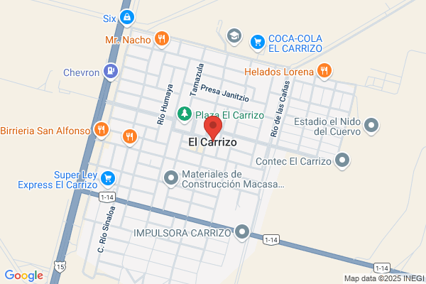 Carrizo Diaz s.