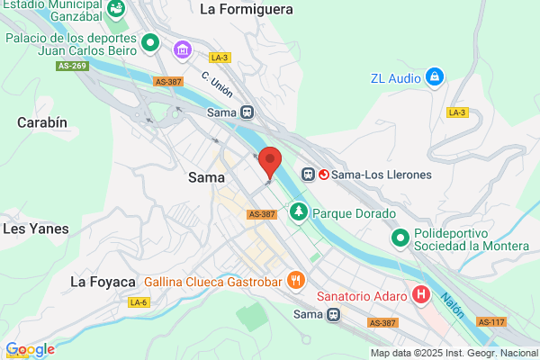 Registro auxiliar del Area Sanitaria VIII-Langreo