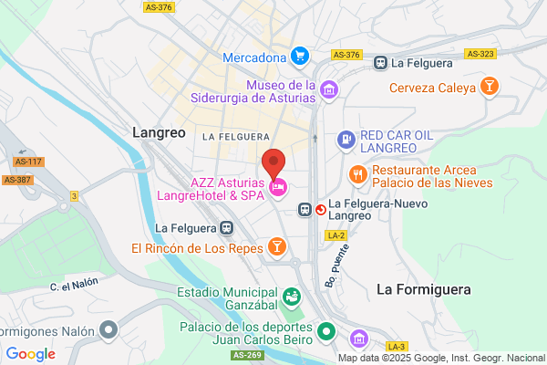 Centro De Salud De La Felguera Informacion