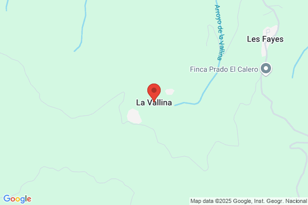 Rodriguez Vallina a. L.