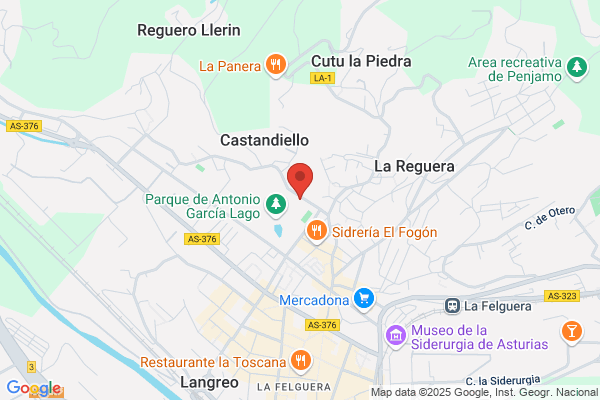 Principado De Asturias Polideportivo De La Felguera