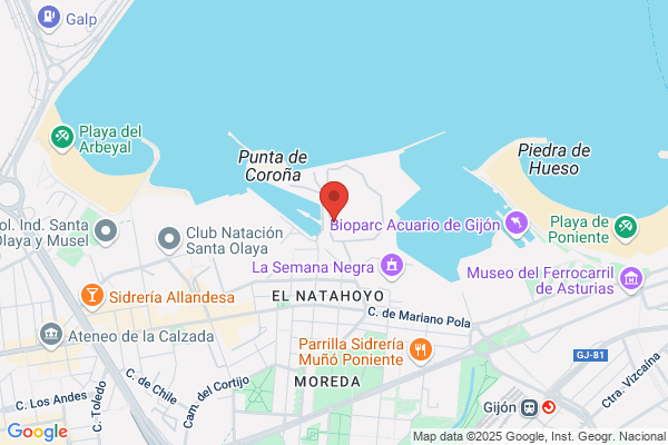Servicios Y Maquinaria Duro Felguera S.A.